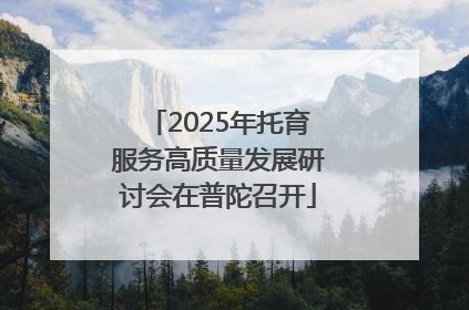 2025年托育服务高质量发展研讨会在普陀召开