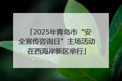 2025年青岛市“安全宣传咨询日”主场活动在西海岸新区举行