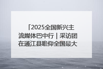 2025全国新兴主流媒体巴中行｜采访团在通江县瞻仰全国最大红军烈士陵园