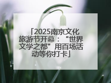 2025南京文化旅游节开幕：“世界文学之都”用百场活动等你打卡