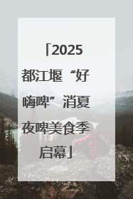 2025都江堰“好嗨啤”消夏夜啤美食季启幕