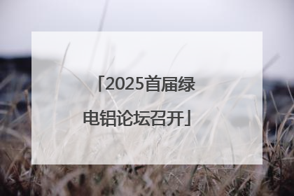 2025首届绿电铝论坛召开