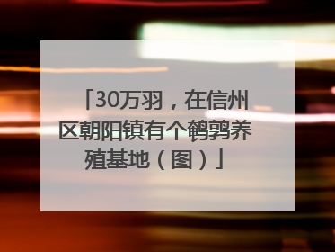30万羽，在信州区朝阳镇有个鹌鹑养殖基地（图）