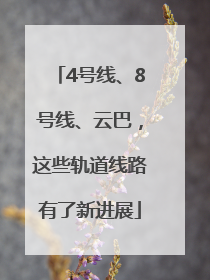 4号线、8号线、云巴，这些轨道线路有了新进展