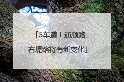 5车道！通顺路、右堤路将有新变化
