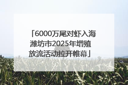 6000万尾对虾入海 潍坊市2025年增殖放流活动拉开帷幕