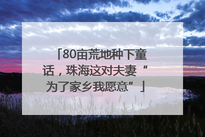 80亩荒地种下童话，珠海这对夫妻“为了家乡我愿意”