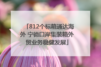 812个标箱通达海外 宁德口岸集装箱外贸业务稳健发展