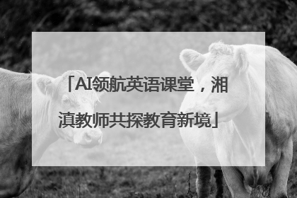 AI领航英语课堂，湘滇教师共探教育新境