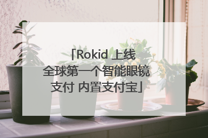 Rokid 上线全球第一个智能眼镜支付 内置支付宝