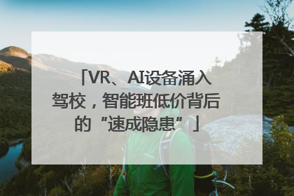 VR、AI设备涌入驾校，智能班低价背后的“速成隐患”