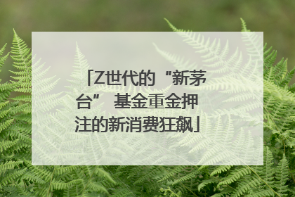 Z世代的“新茅台” 基金重金押注的新消费狂飙